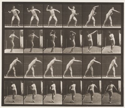 Tafel 286. Baseball; Werfen von Eadweard Muybridge