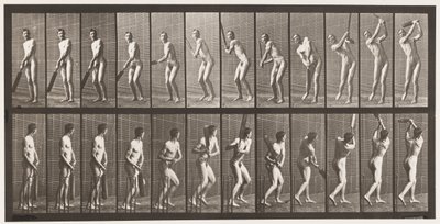 Tafel 291. Cricket; Schlagen; Drive von Eadweard Muybridge