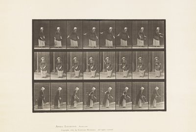 Tafel 296. Rasentennis von Eadweard Muybridge