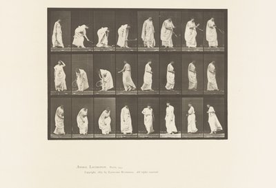 Tafel 299. Spielen mit einem Ball von Eadweard Muybridge