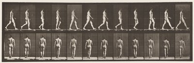 Gehen von Eadweard Muybridge