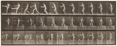 Tafel 301. Fußball; Punt, 1885 von Eadweard Muybridge