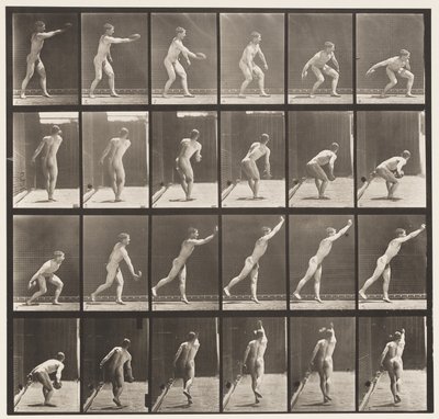 Tafel 307. Einen Eisendiskus werfen von Eadweard Muybridge