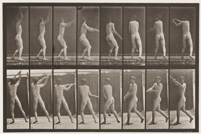 Tafel 309. Hammerwerfen von Eadweard Muybridge