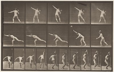 Tafel 313. Einen 20-Pfund-Stein heben, 1885 von Eadweard Muybridge