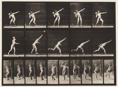 Tafel 314. Einen 20-Pfund-Stein werfen von Eadweard Muybridge