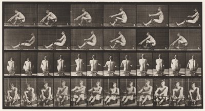 Tafel 327. Rudern von Eadweard Muybridge