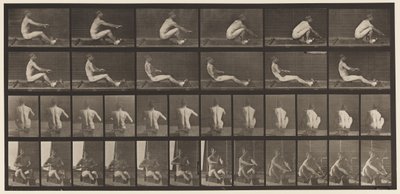 Tafel 328. Rudern von Eadweard Muybridge