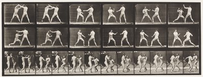 Tafel 329. Boxen; (Schuhe) von Eadweard Muybridge