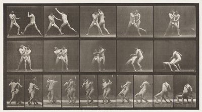 Tafel 331. Boxen; Stop für Cross-Buttocks von Eadweard Muybridge