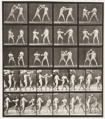 Tafel 334. Boxen; mit Handschuhen (Schuhe) von Eadweard Muybridge