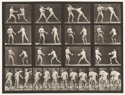 Tafel 335. Boxen; Mit Handschuhen von Eadweard Muybridge