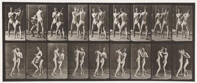 Tafel 337. Boxen; Offene Hand von Eadweard Muybridge