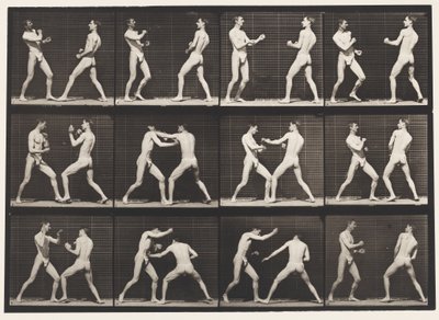 Tafel 338. Boxen; offene Hand (Schuhe) von Eadweard Muybridge