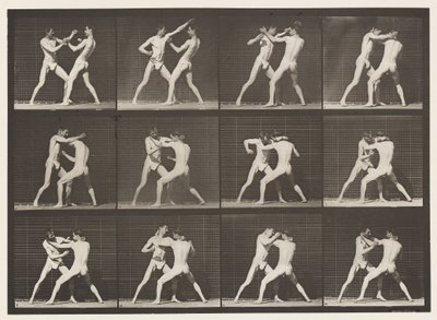 Boxen; Offene Hand von Eadweard Muybridge