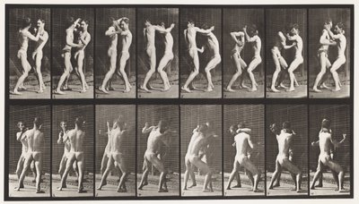 Tafel 341. Boxen; Offene Hand von Eadweard Muybridge