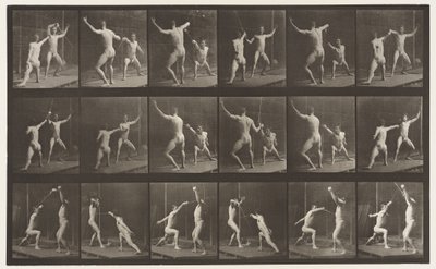 Fechten von Eadweard Muybridge