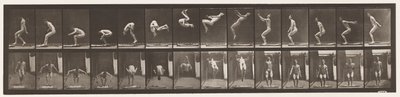 Tafel 362. Rückwärtssalto von Eadweard Muybridge