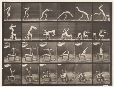 Tafel 364. Handstand über den Rücken eines Mannes von Eadweard Muybridge