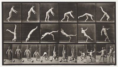 Tafel 365. Kopfstand, eine fliegende Taube stört von Eadweard Muybridge