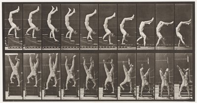 Tafel 368. Akrobat, Treppe auf Händen hinuntergehen von Eadweard Muybridge