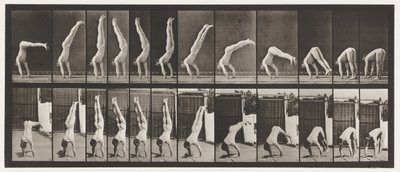 Tafel 371. Akrobat, vertikaler Druck nach oben von Eadweard Muybridge