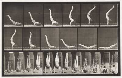 Tafel 372. Akrobat, horizontaler Druck nach oben von Eadweard Muybridge