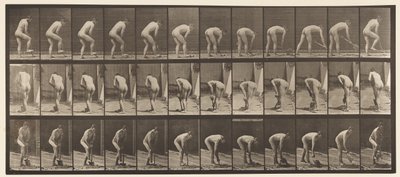 Tafel 388. Bauer, der einen Spaten benutzt, 1872-1885 von Eadweard Muybridge