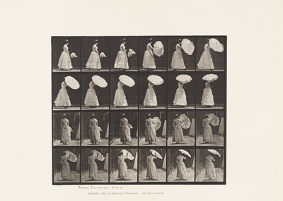 Gehen, Sonnenschirm öffnen von Eadweard Muybridge