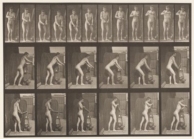 Tafel 395. Eine Kurbel drehen von Eadweard Muybridge