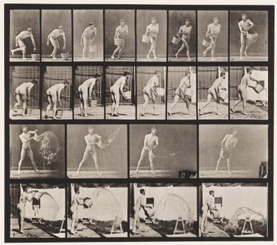 Tafel 400. Einen Eimer Wasser ausleeren, 1872-1885 von Eadweard Muybridge