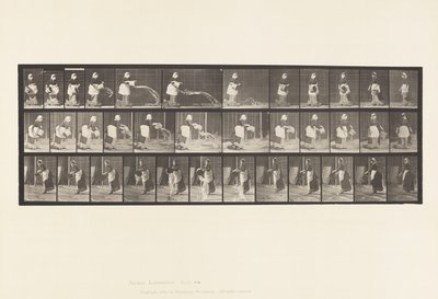 Tafel 404. Ausleeren eines Wassereimers, 1885 von Eadweard Muybridge