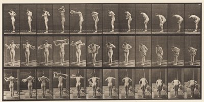 Tafel 414. Körper mit einem Handtuch abwischen von Eadweard Muybridge