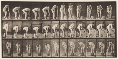 Tafel 433. Kleidung auswringen von Eadweard Muybridge