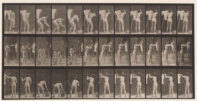 Tafel 434. Wäsche auf die Leine hängen von Eadweard Muybridge