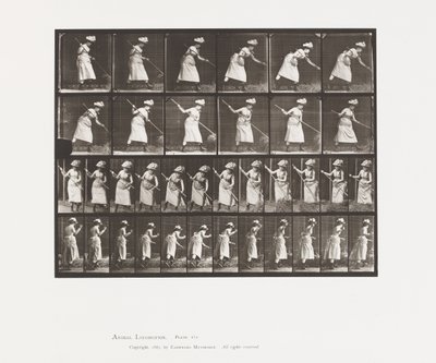 Tafel 456. Heu rechen, 1885 von Eadweard Muybridge