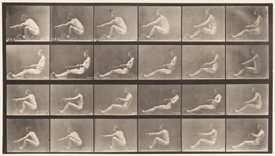 Tafel 492. A von Eadweard Muybridge