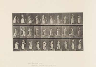 Tafel 495. Verschiedene Phasen der Toilette von Eadweard Muybridge