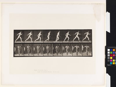 Tafel 4. Gehen von Eadweard Muybridge