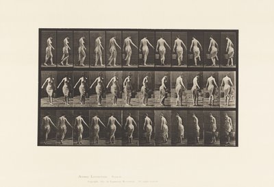 Gehen, einen Eimer tragen von Eadweard Muybridge