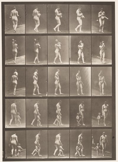 Tafel 528. A,B,C von Eadweard Muybridge