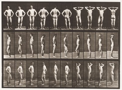 Tafel 530. Verschiedene Posen von Eadweard Muybridge