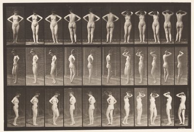 Tafel 531. Verschiedene Posen von Eadweard Muybridge