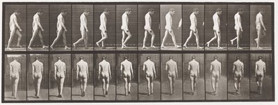 Epilepsie; Gehen von Eadweard Muybridge