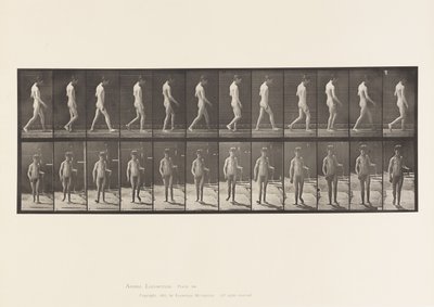 Epilepsie; Gehen von Eadweard Muybridge