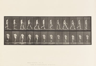 Tafel 560. Lokomotorische Ataxie; Gehen, 1885 von Eadweard Muybridge
