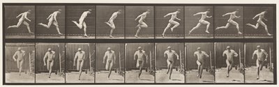 Tafel 68. Laufen von Eadweard Muybridge
