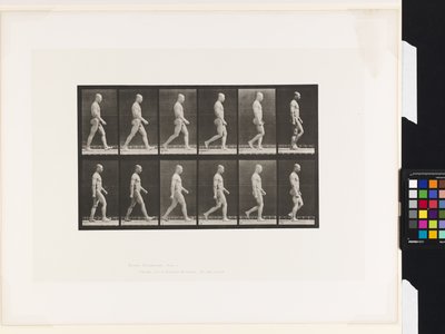 Tafel 6. Gehen von Eadweard Muybridge