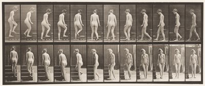 Tafel 98. Treppensteigen von Eadweard Muybridge