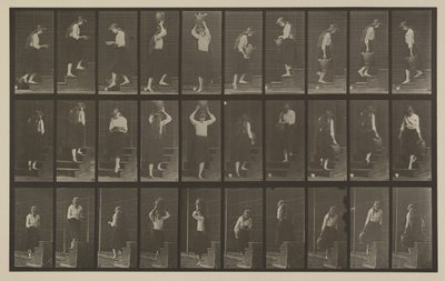 Tafel Nummer 504. Auf- und absteigende Treppen von Eadweard Muybridge
